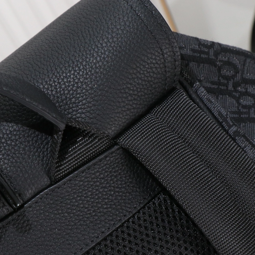Christian Dior AAA Man Backpacks StreetReady 8260