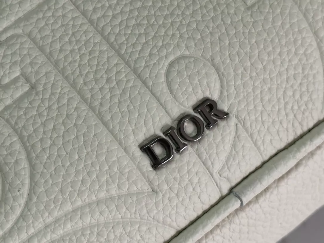 Christian Dior AAA Man Handbags Soft 3636