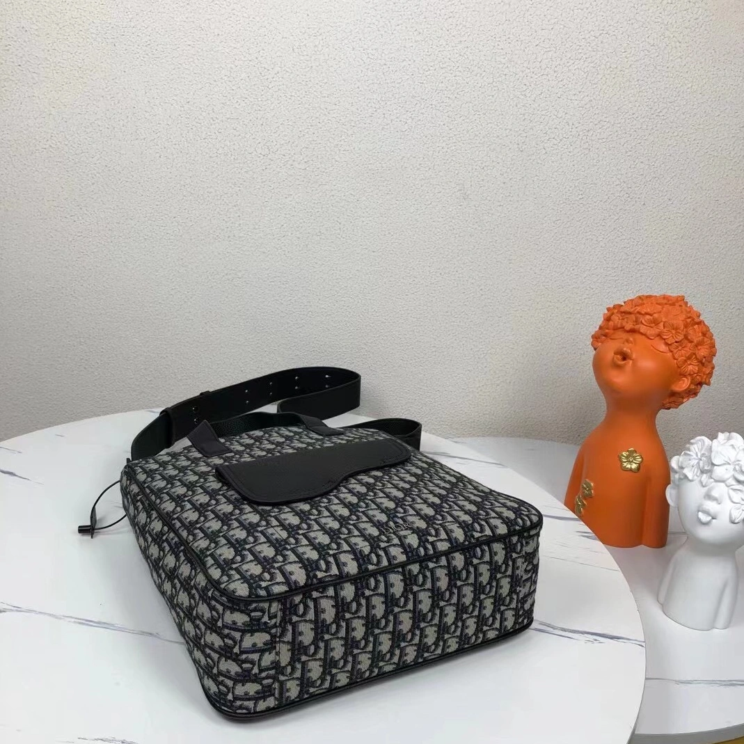Christian Dior AAA Man Handbags Stylish 6148