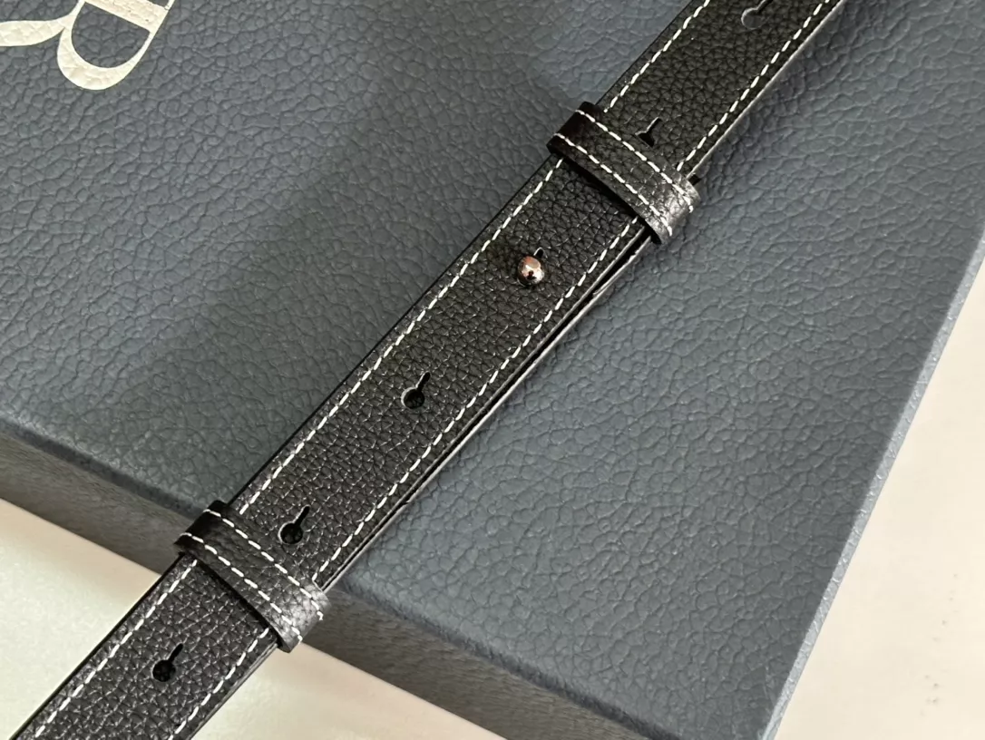 Christian Dior AAA Man Messenger Bags Comfortable 6589