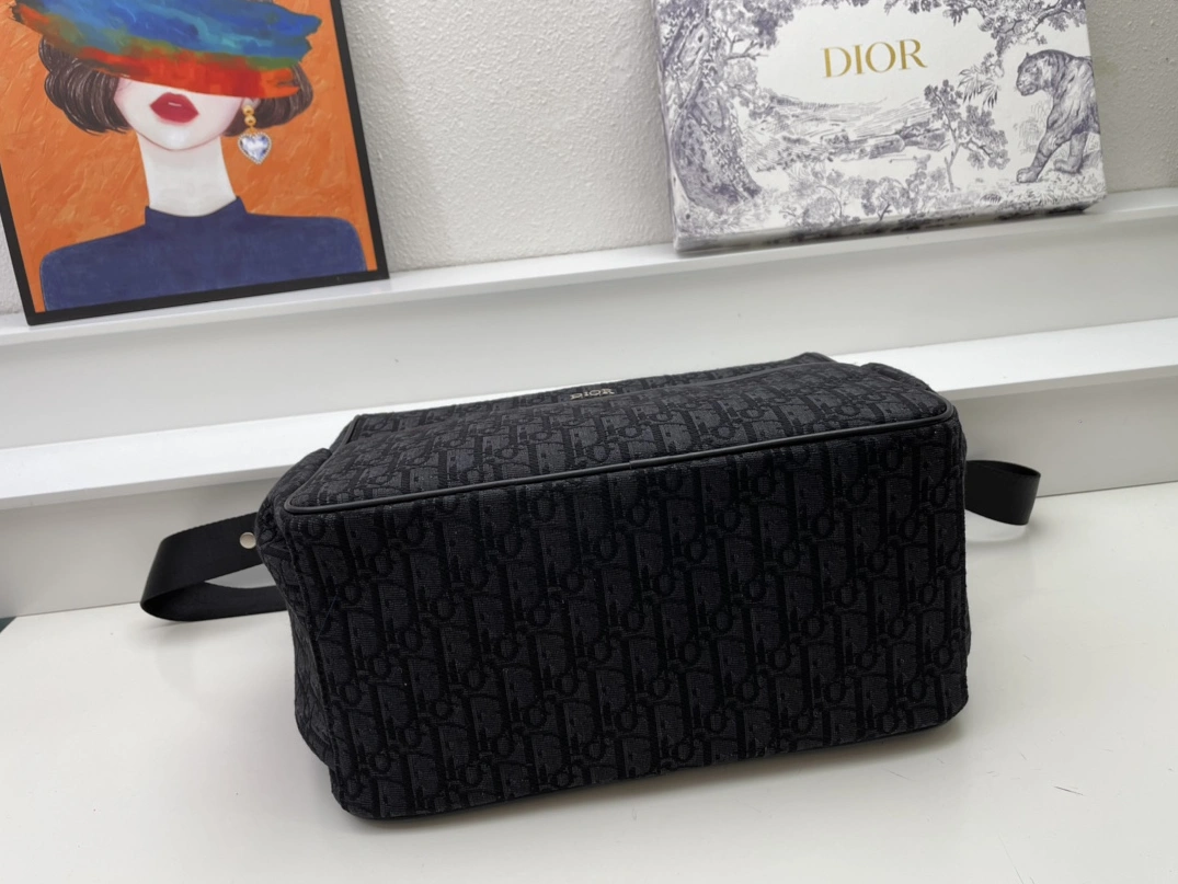 Christian Dior AAA Man Messenger Bags HighQuality 8317