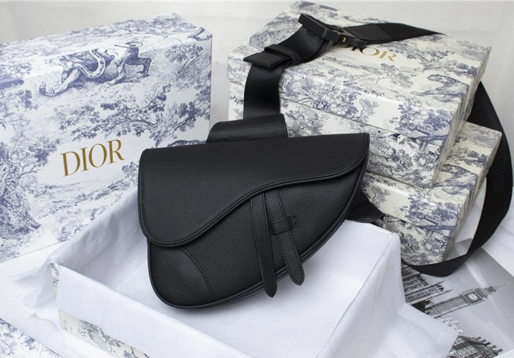 Christian Dior AAA Man Messenger Bags WellDesigned 3501