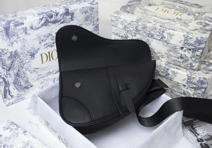 Christian Dior AAA Man Messenger Bags WellDesigned 3501