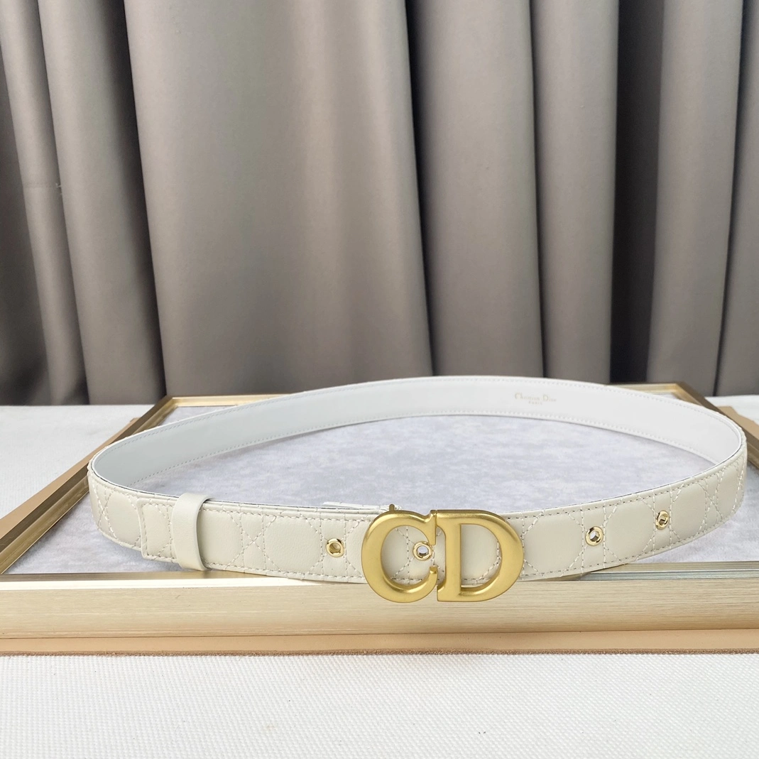 Christian Dior AAA Quality Belts For Women Affordable 1703