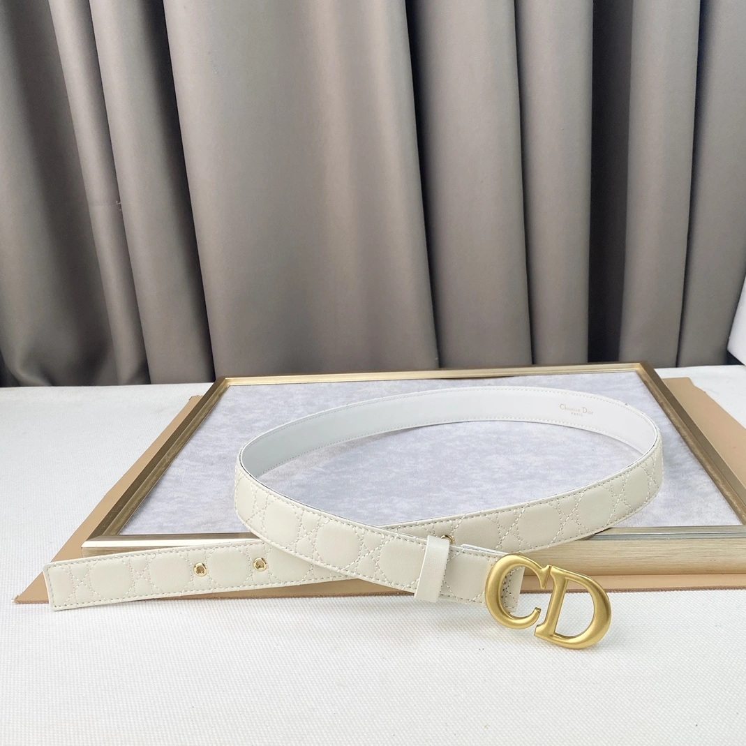 Christian Dior AAA Quality Belts For Women Affordable 1703