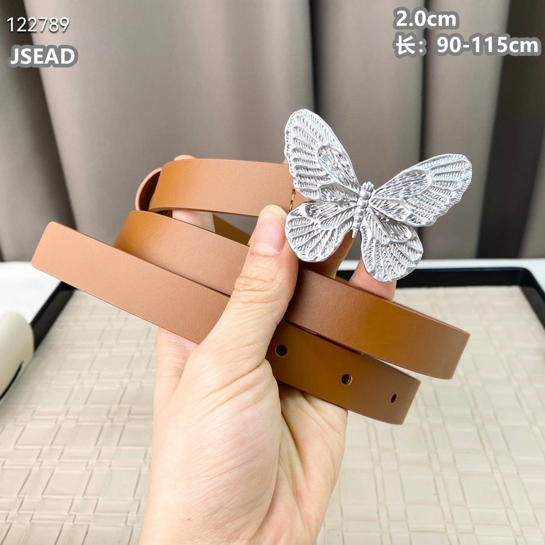 Christian Dior AAA Quality Belts For Women Practical 6905