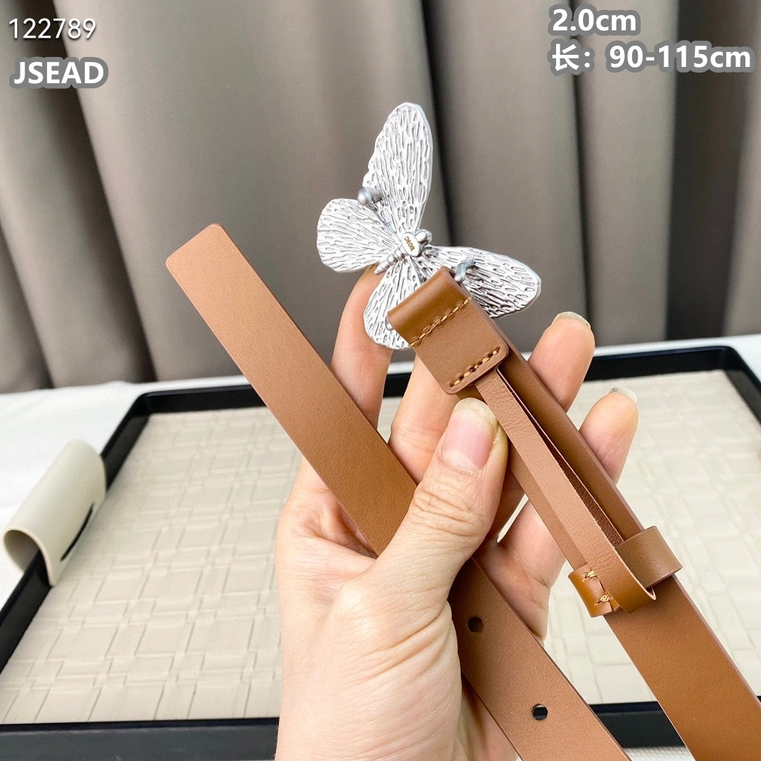Christian Dior AAA Quality Belts For Women Practical 6905