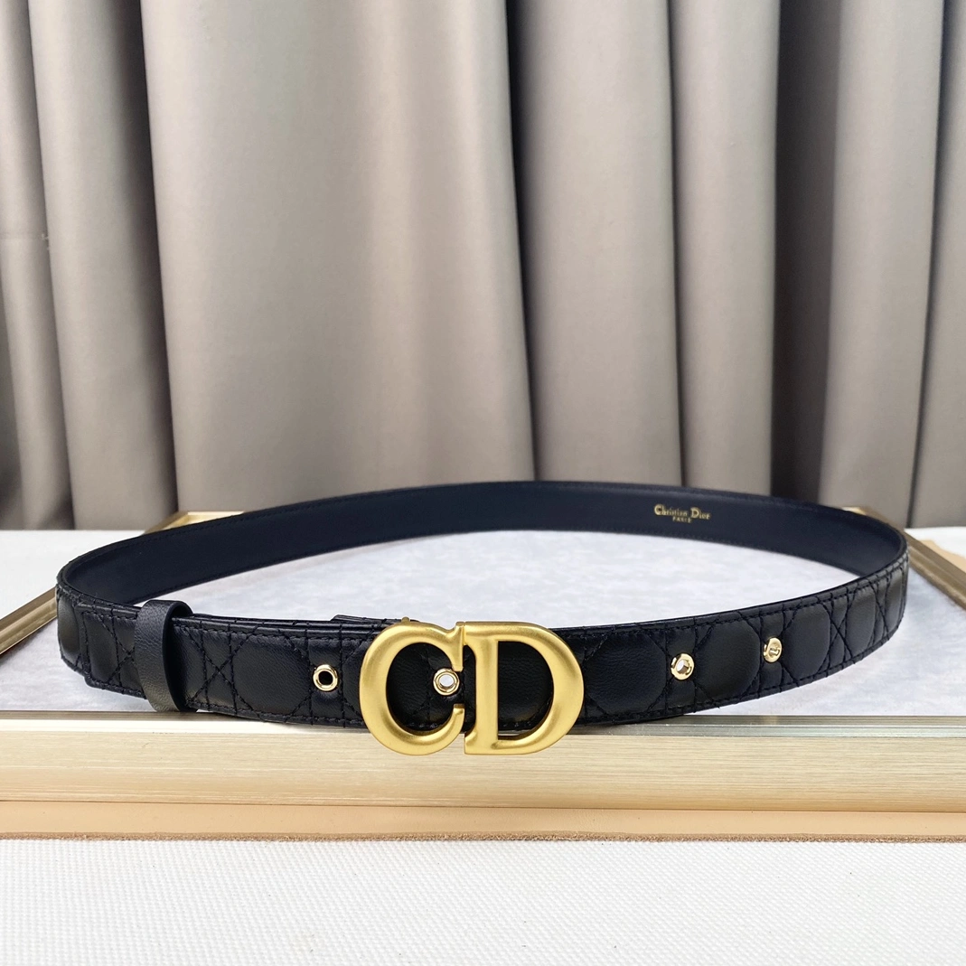 Christian Dior AAA Quality Belts For Women WellDesigned 8022