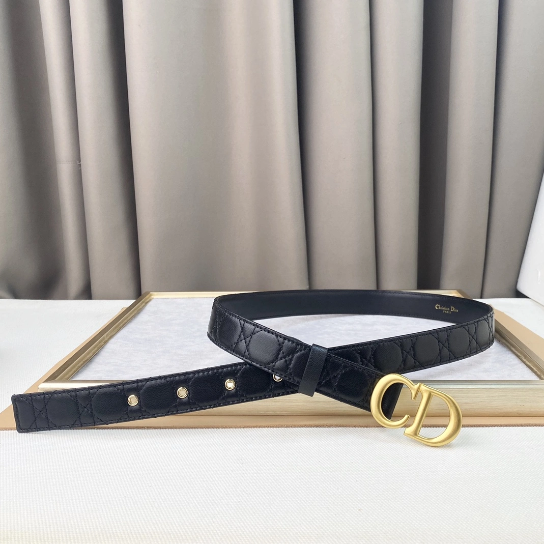 Christian Dior AAA Quality Belts For Women WellDesigned 8022