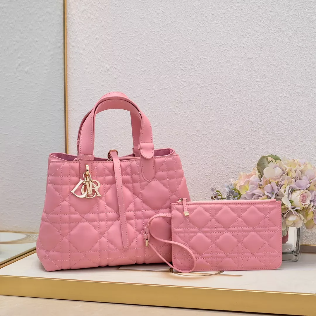Christian Dior AAA Quality Handbags For Women DailyWear 7554