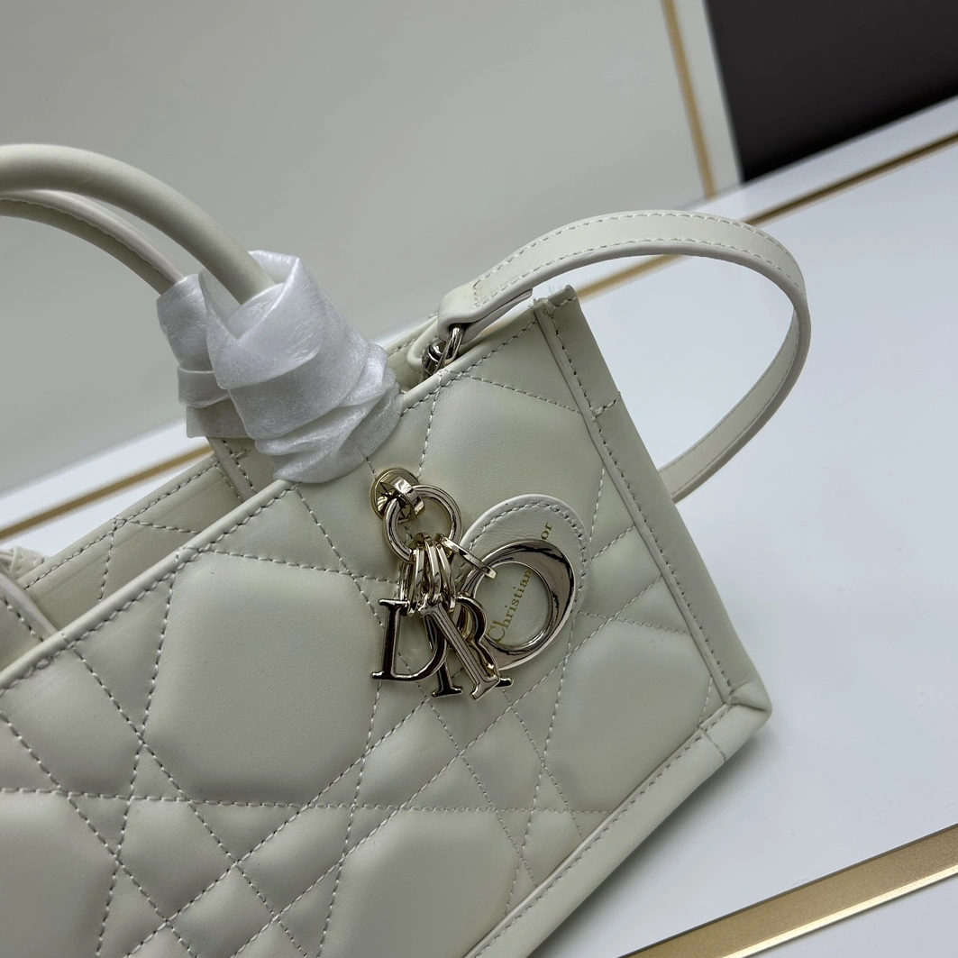Christian Dior AAA Quality Handbags For Women Popular 8359