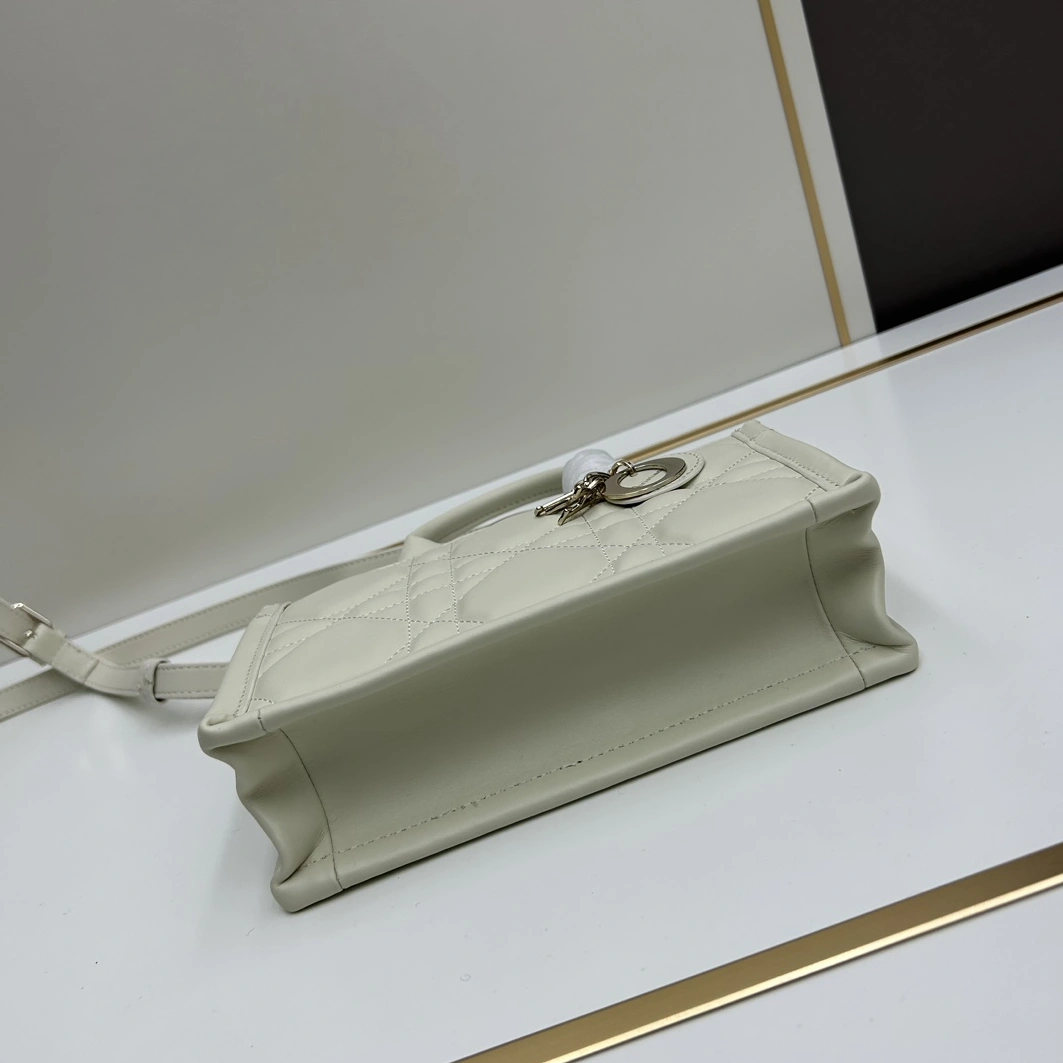 Christian Dior AAA Quality Handbags For Women Popular 8359