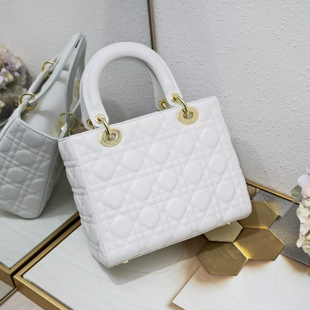 Christian Dior AAA Quality Handbags For Women Practical 2669