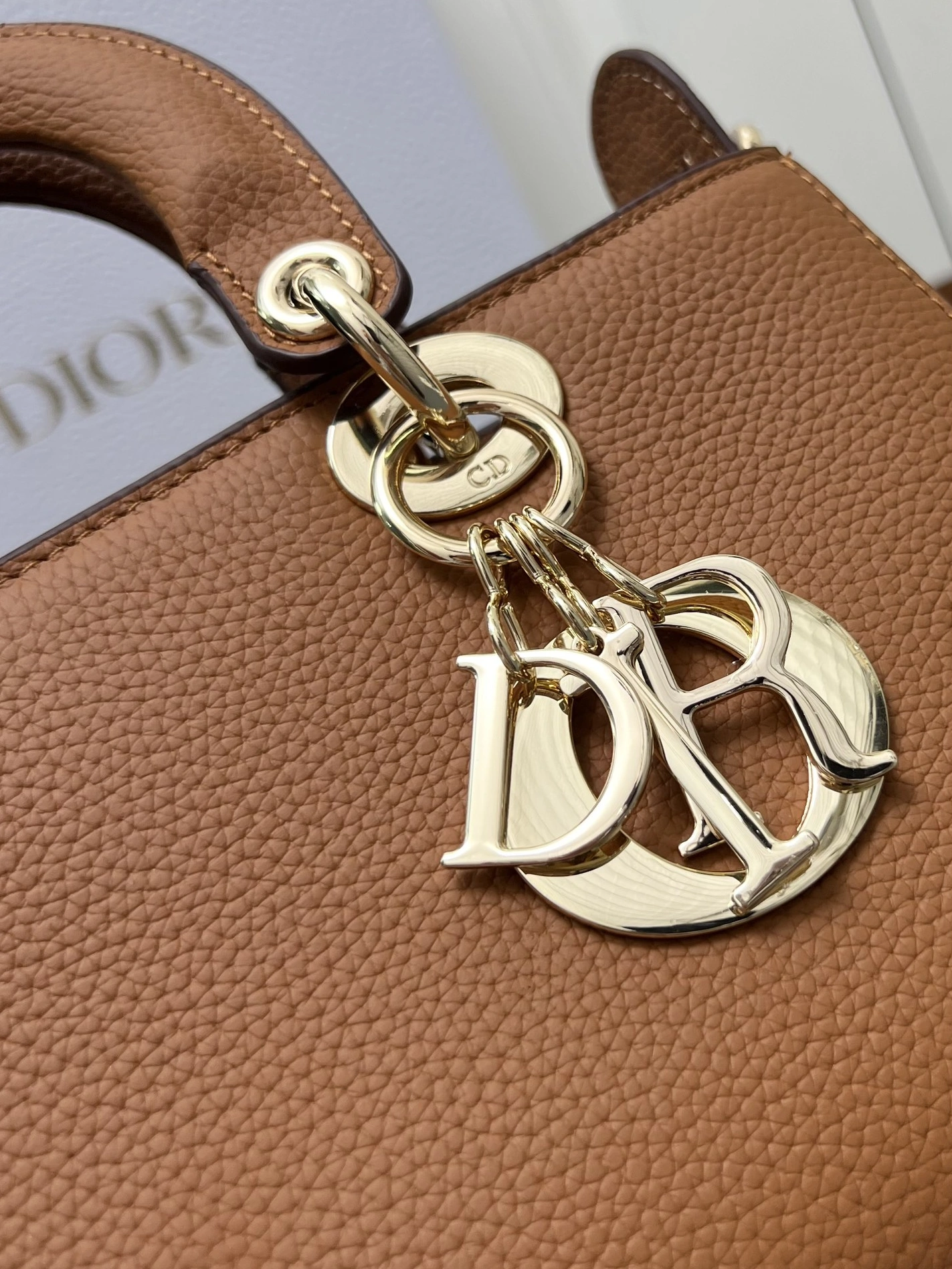 Christian Dior AAA Quality Handbags For Women Resilient 9253