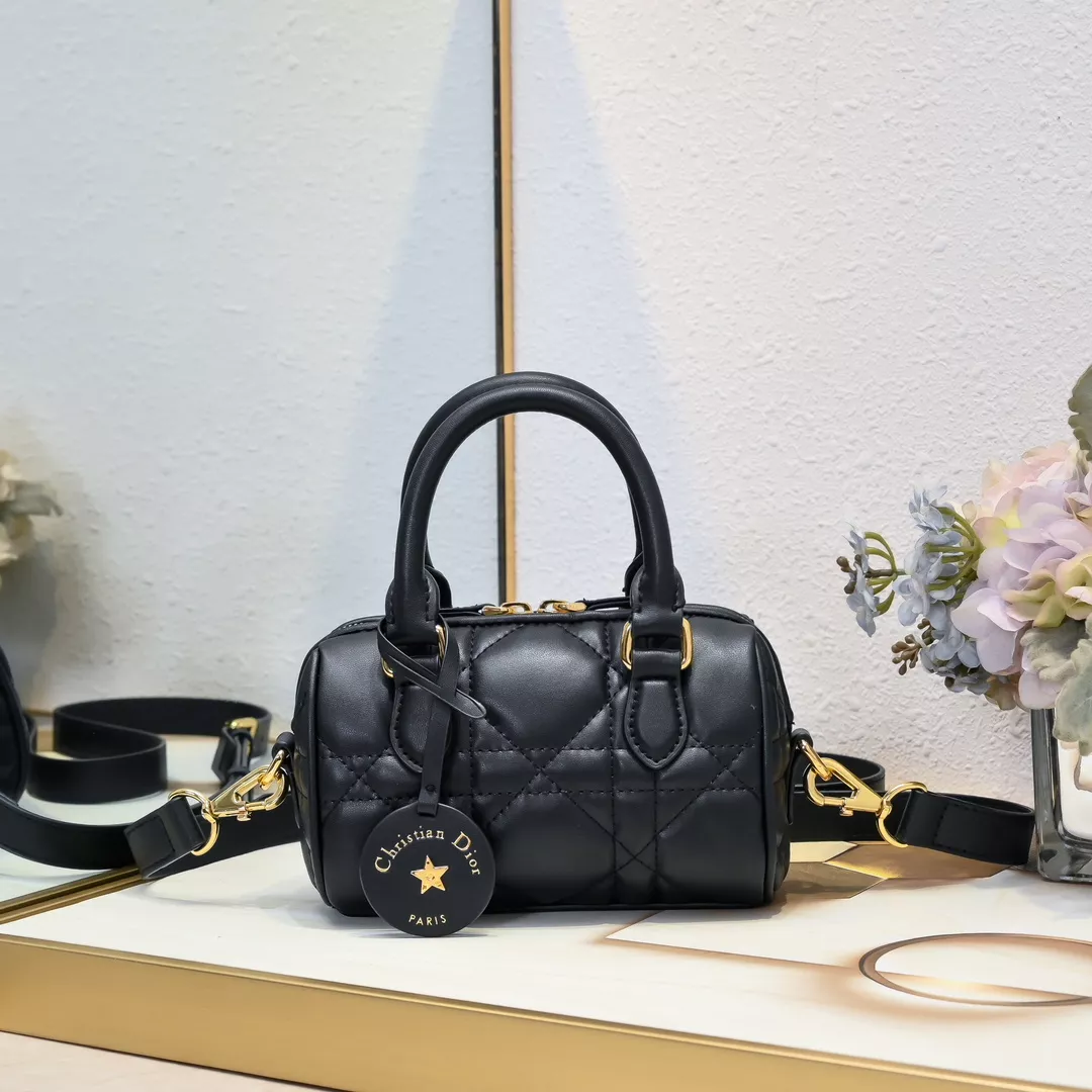 Christian Dior AAA Quality Handbags For Women Sophisticated 5904