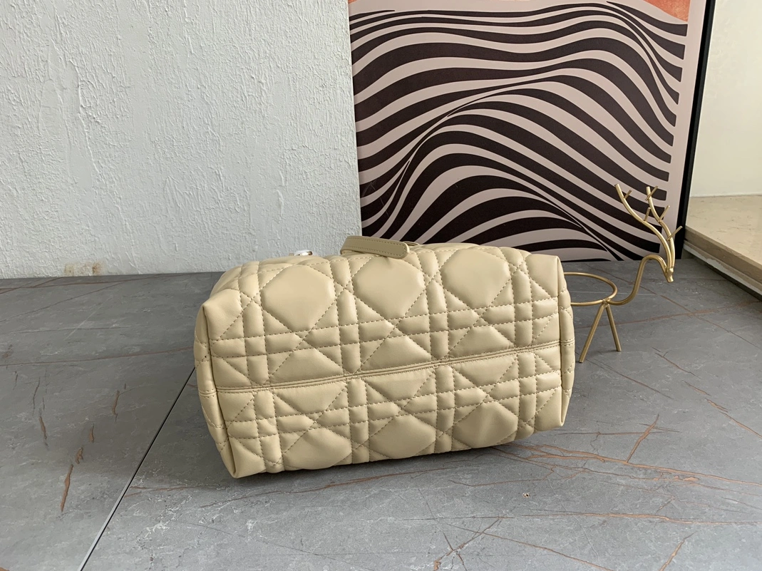 Christian Dior AAA Quality Handbags For Women Trendsetting 4537