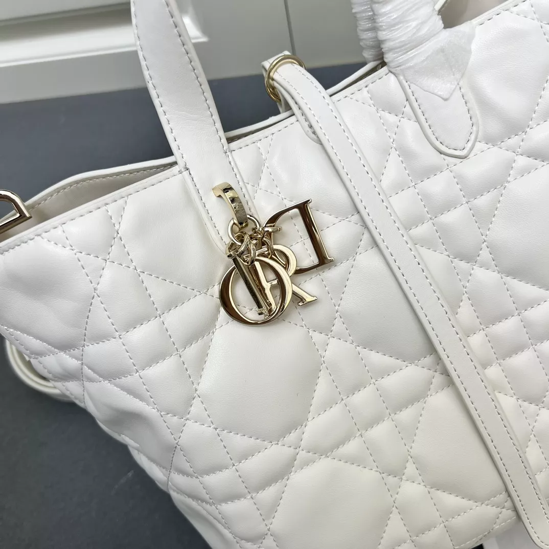 Christian Dior AAA Quality Handbags For Women Versatile 1196