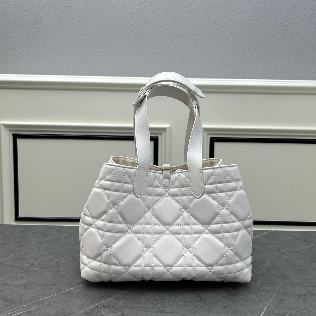 Christian Dior AAA Quality Handbags For Women WellDesigned 8396
