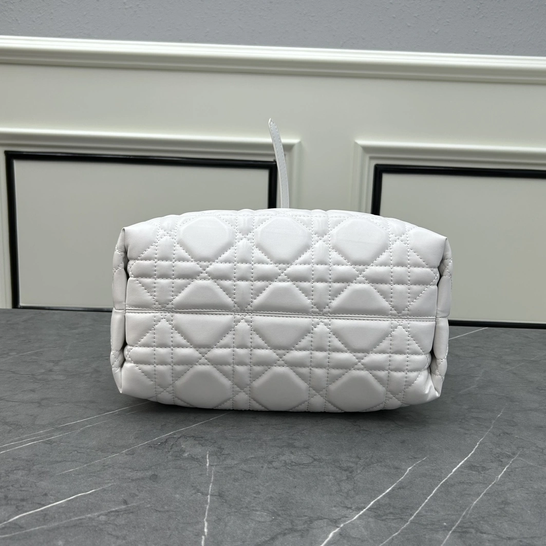 Christian Dior AAA Quality Handbags For Women WellDesigned 8396