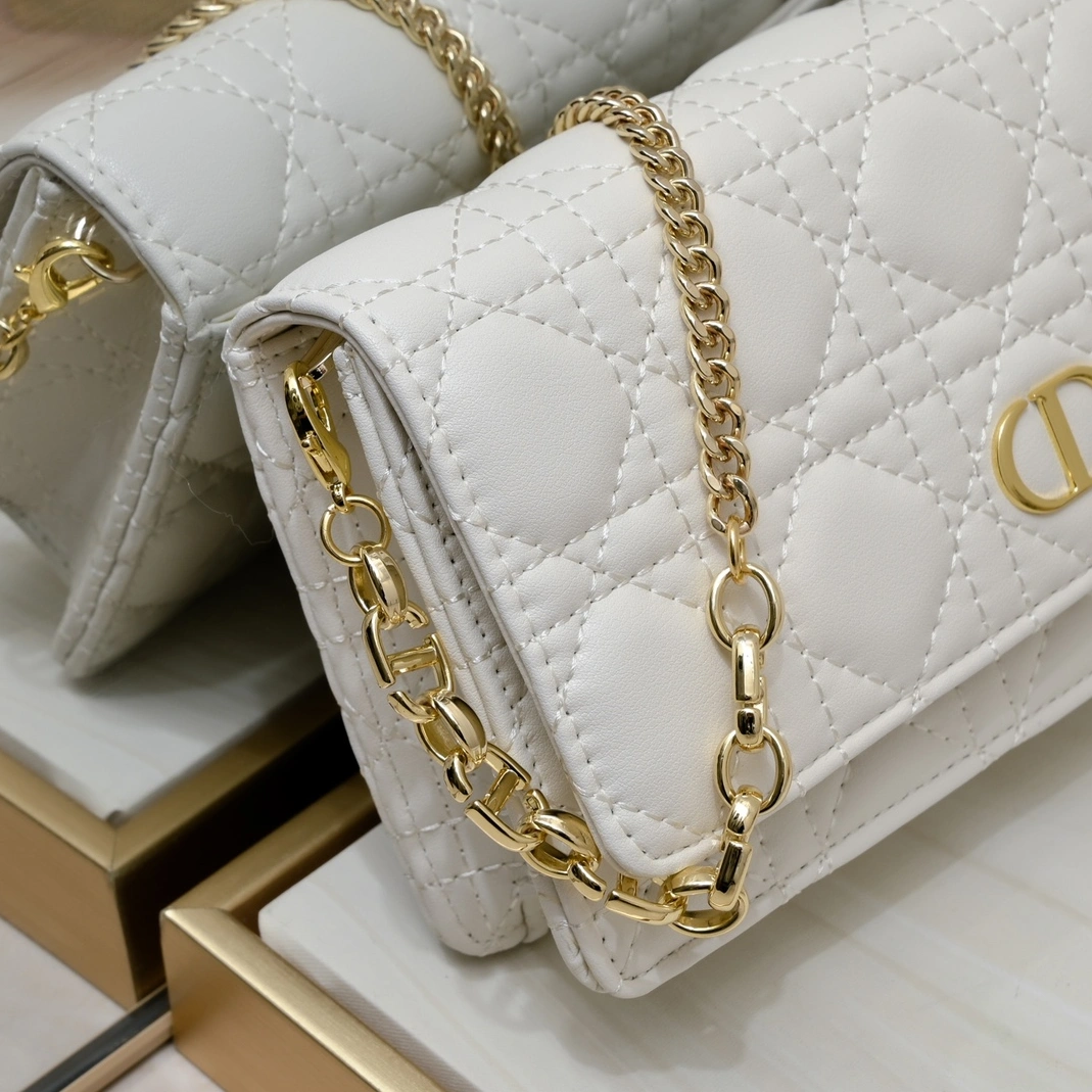 Christian Dior AAA Quality Messenger Bags For Women DailyWear 1058