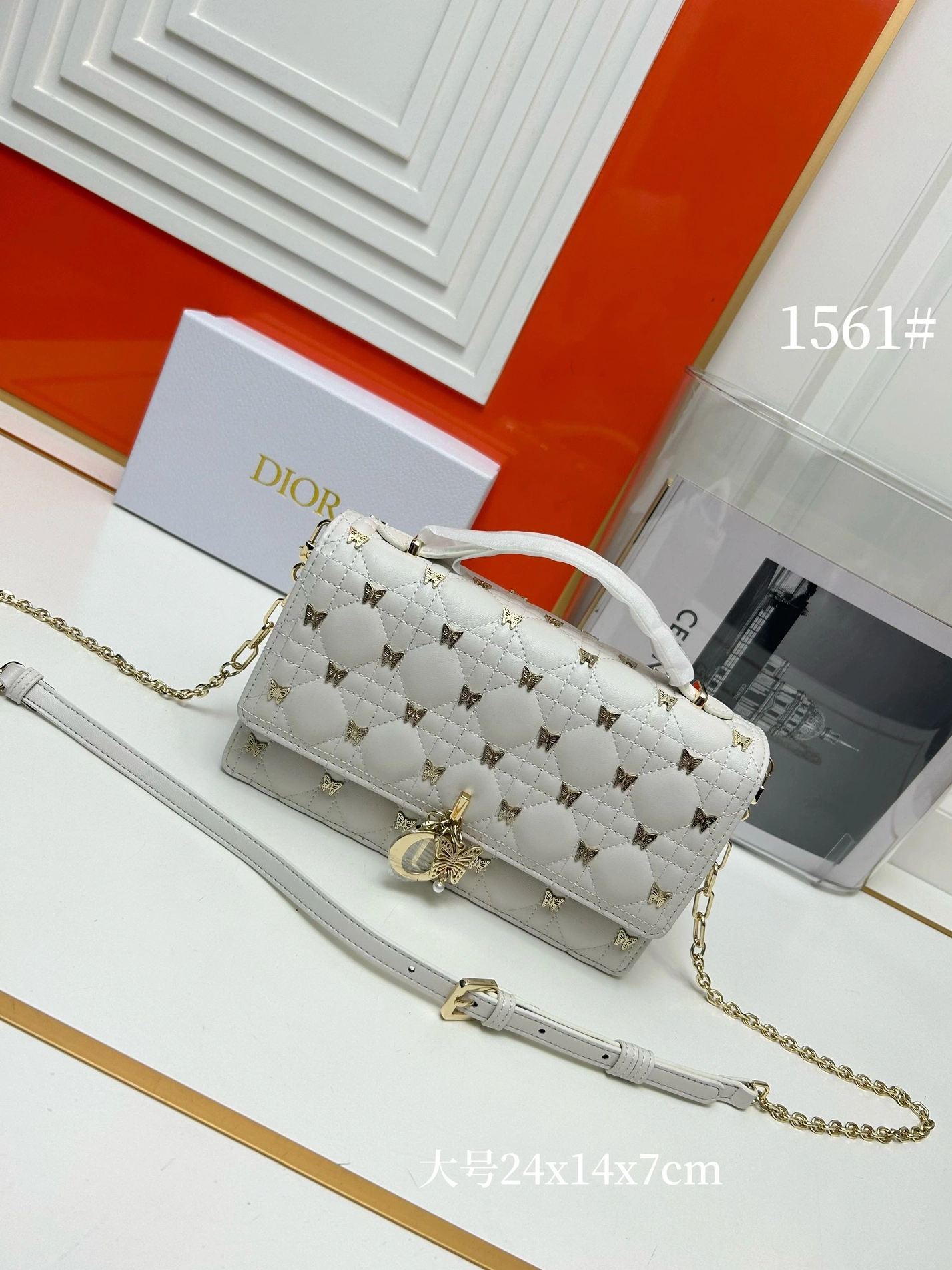 Christian Dior AAA Quality Messenger Bags For Women Practical 3966