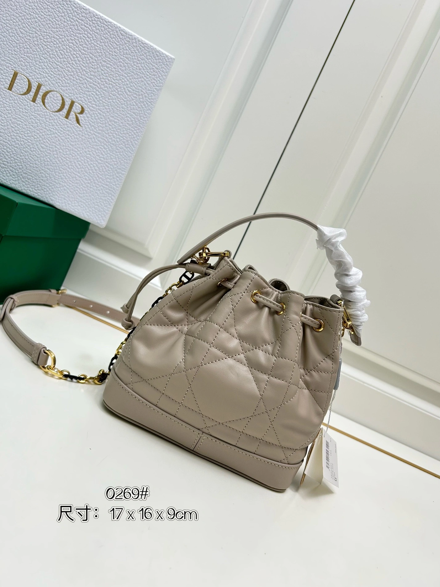 Christian Dior AAA Quality Messenger Bags For Women Reliable 8198