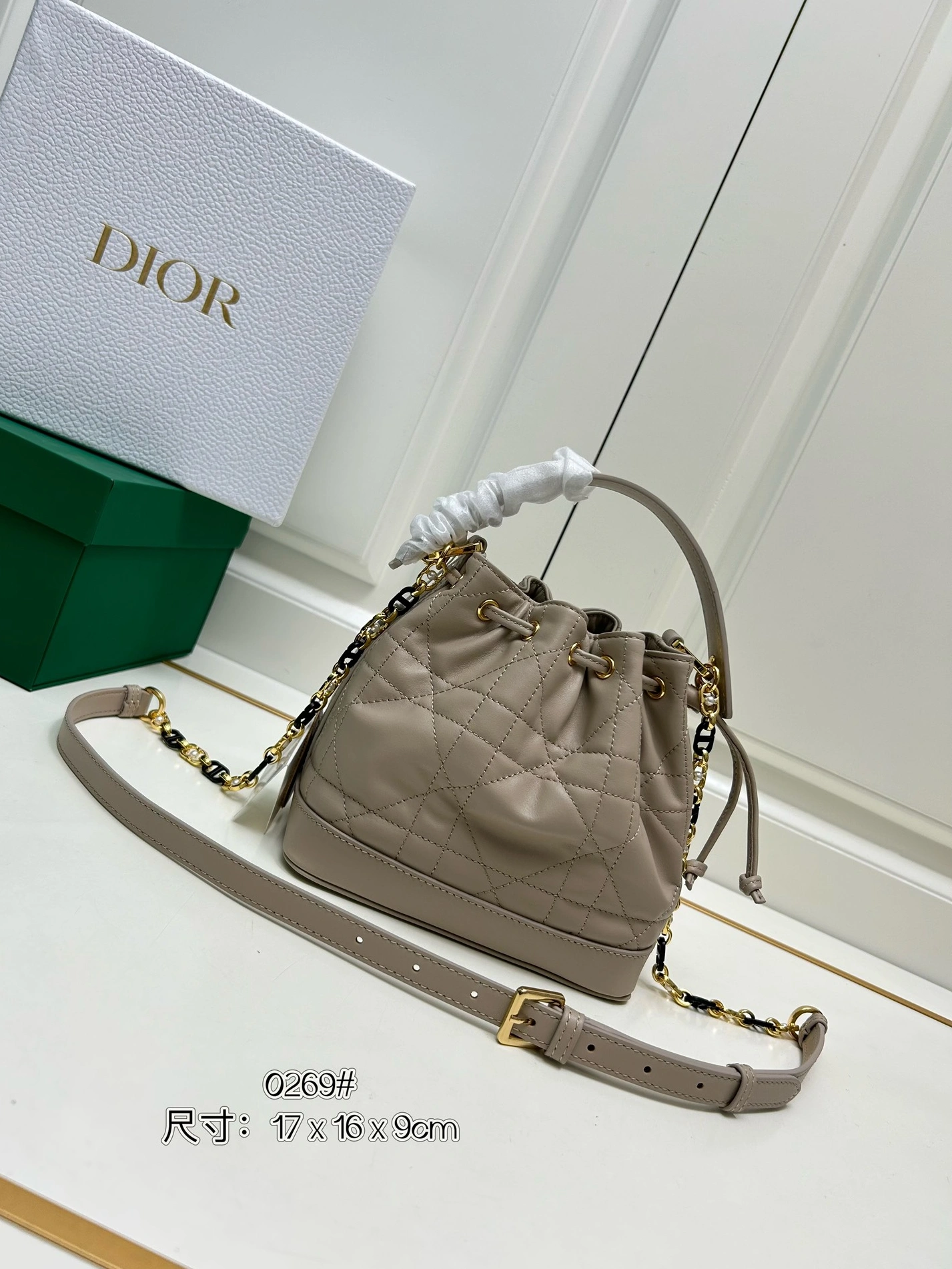 Christian Dior AAA Quality Messenger Bags For Women Reliable 8198