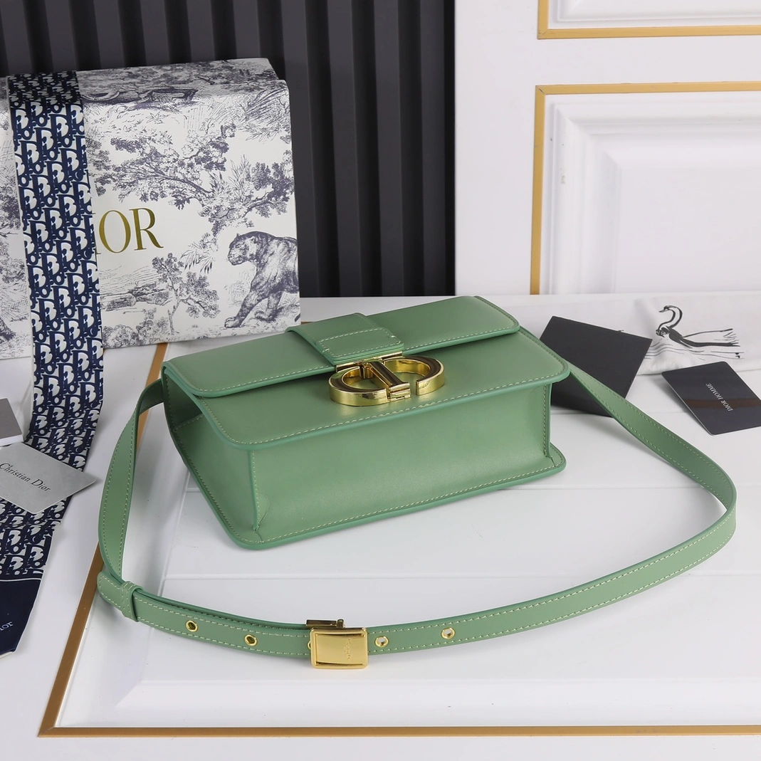 Christian Dior AAA Quality Messenger Bags For Women SmartChoice 245