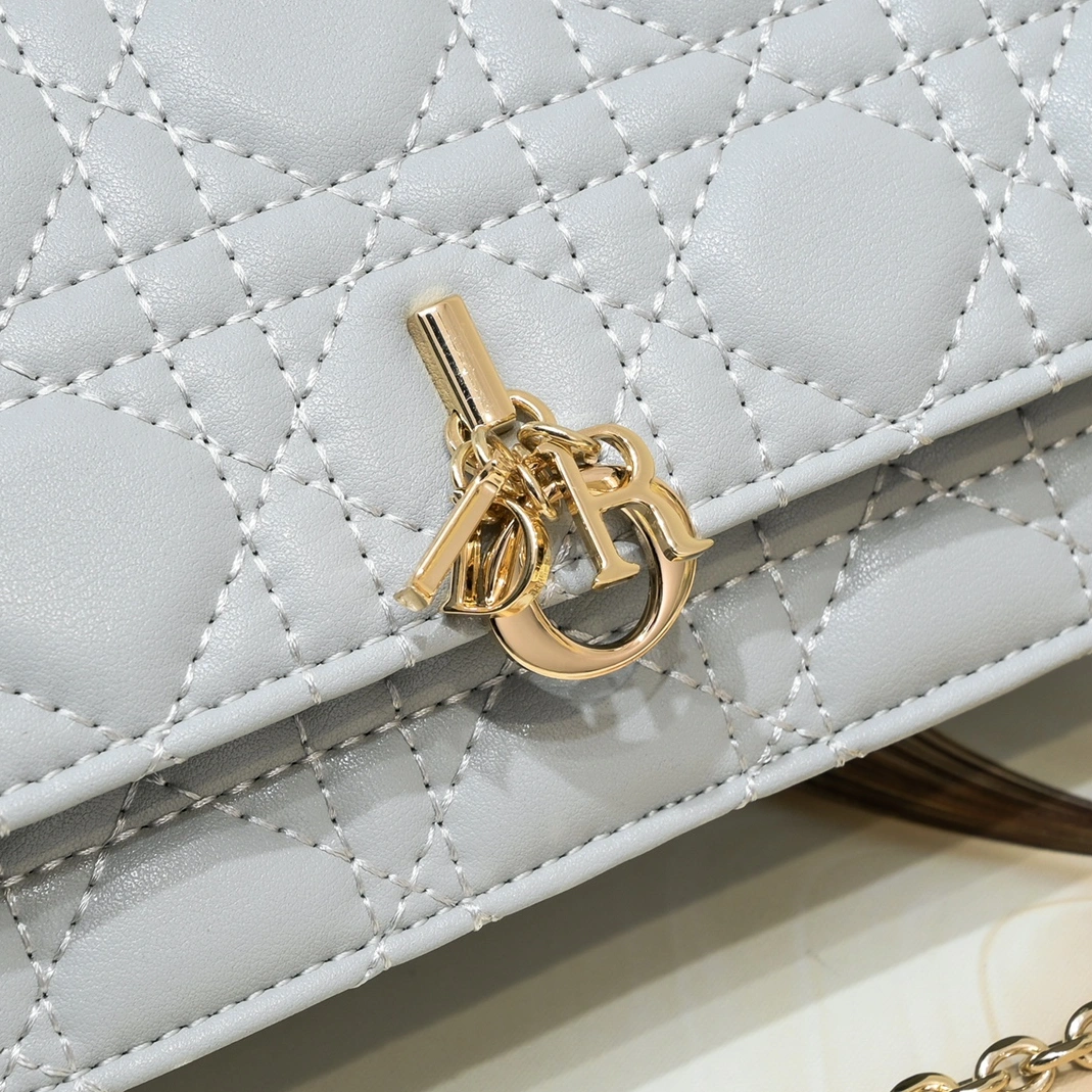 Christian Dior AAA Quality Messenger Bags For Women SportInspired 3657