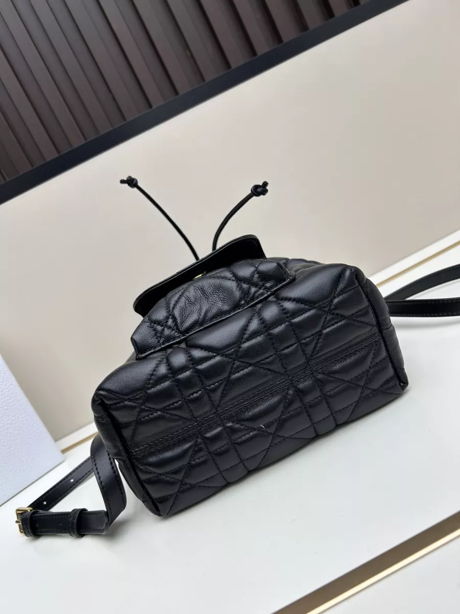 Christian Dior AAA Quality Messenger Bags For Women Stylish 7764