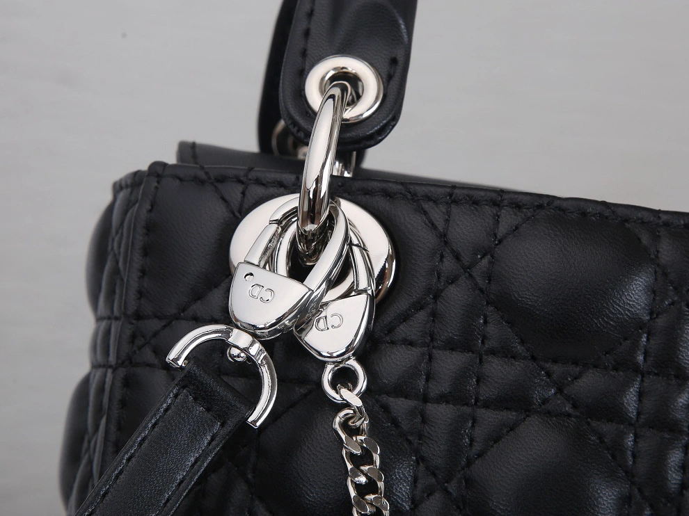 Christian Dior AAA Quality Messenger Bags For Women TopPick 9529