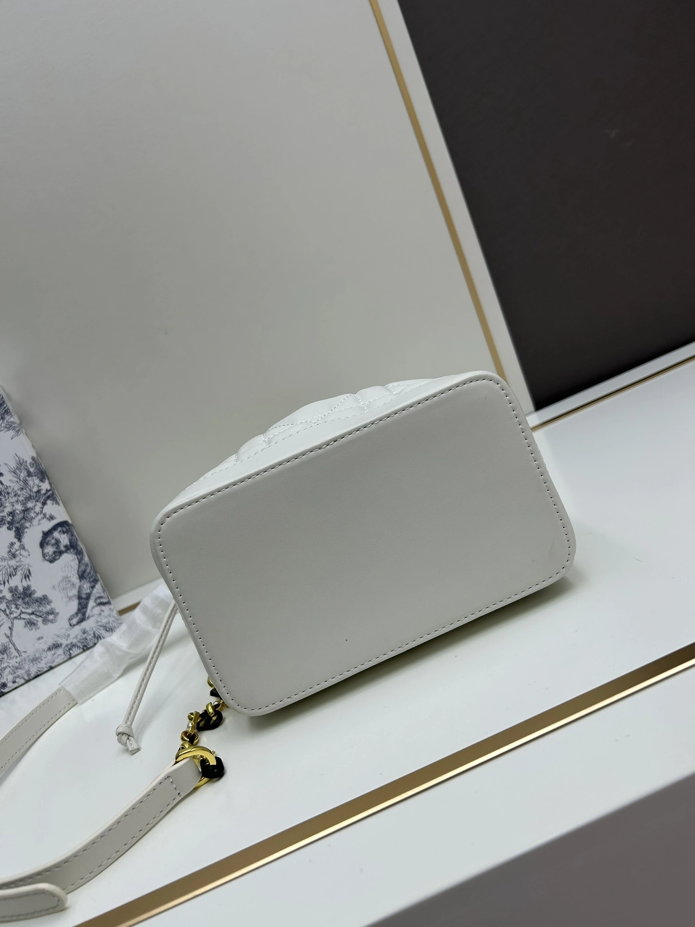 Christian Dior AAA Quality Messenger Bags For Women Unique 7027
