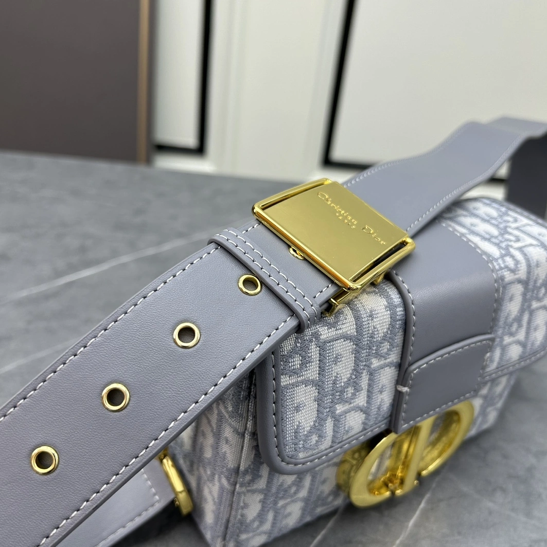 Christian Dior AAA Quality Messenger Bags For Women Versatile 7621