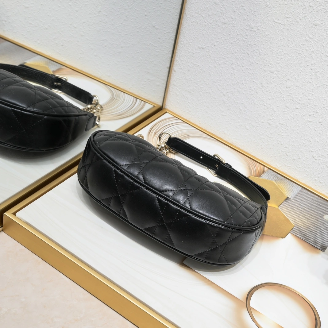 Christian Dior AAA Quality Shoulder Bags For Women StreetReady 7643