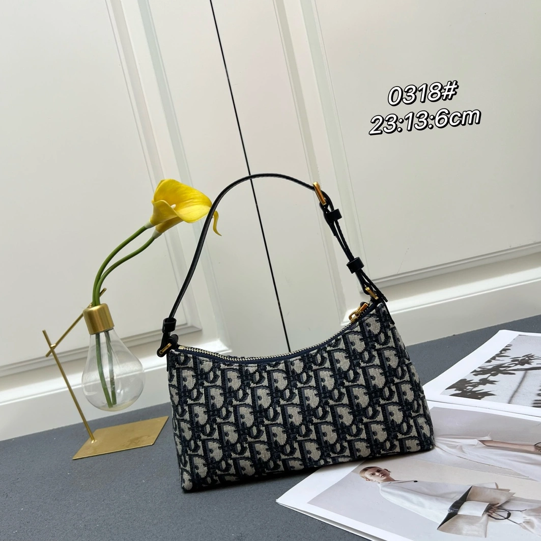 Christian Dior AAA Quality Shoulder Bags For Women TopPick 366