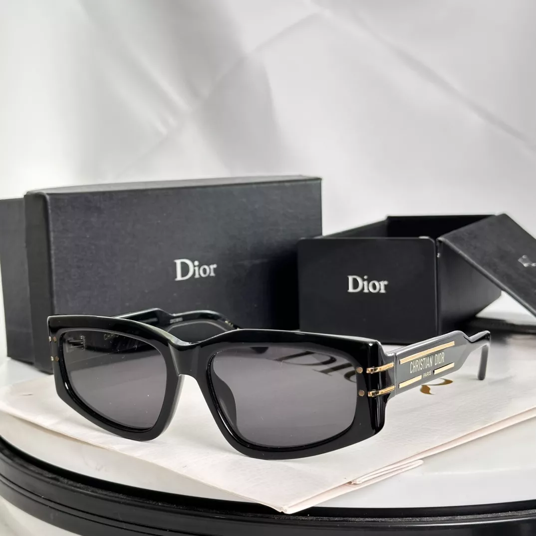 Christian Dior AAA Quality Sunglasses DailyWear 1101