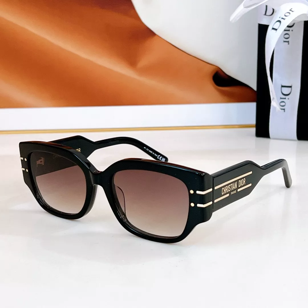 Christian Dior AAA Quality Sunglasses DailyWear 8318