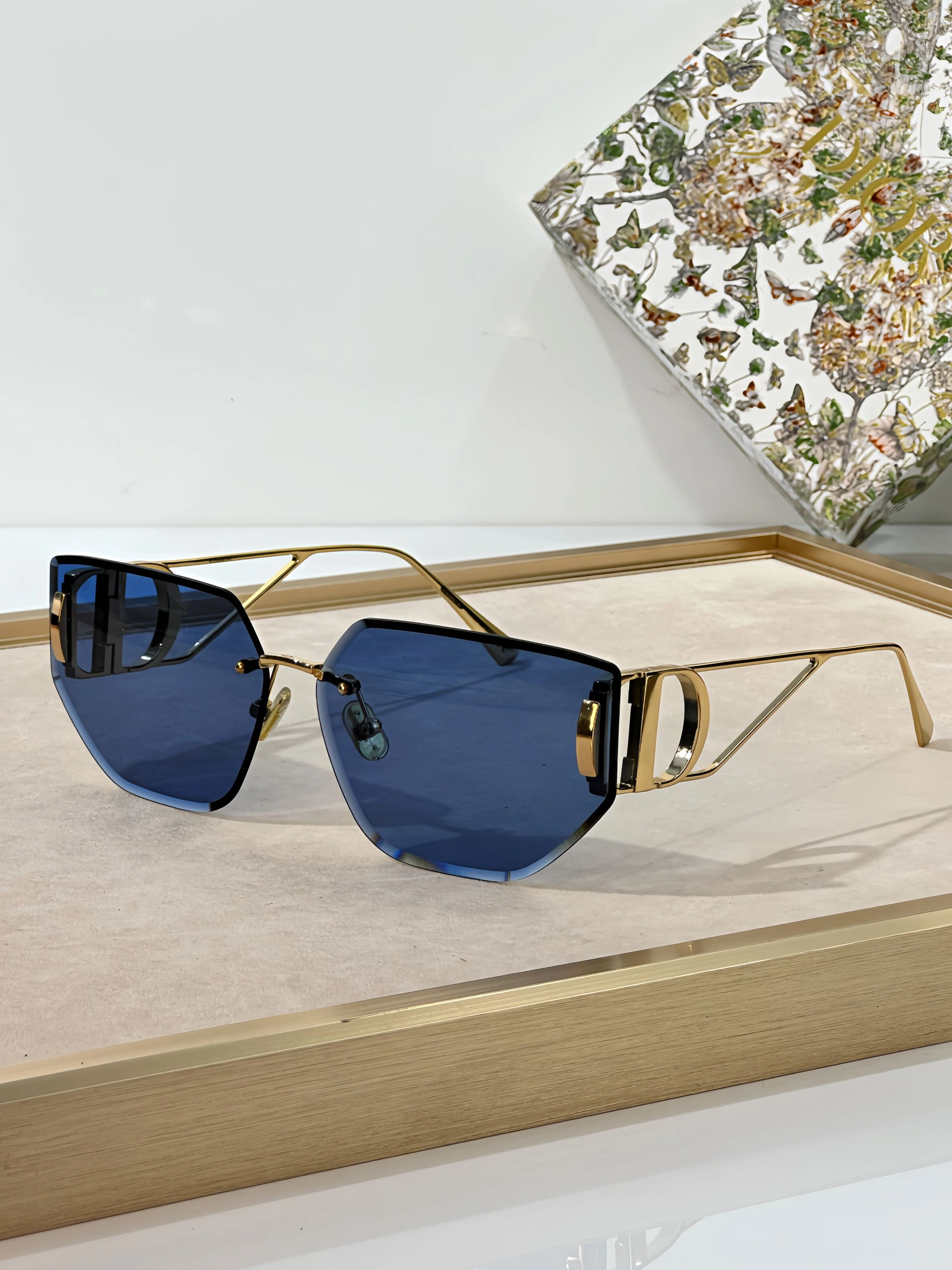 Christian Dior AAA Quality Sunglasses GoAnywhere 488