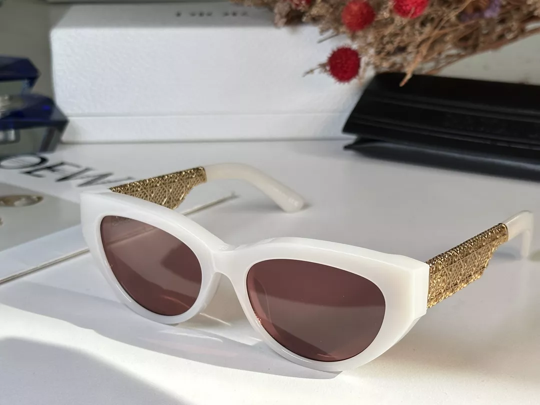 Christian Dior AAA Quality Sunglasses GoodFit 4253