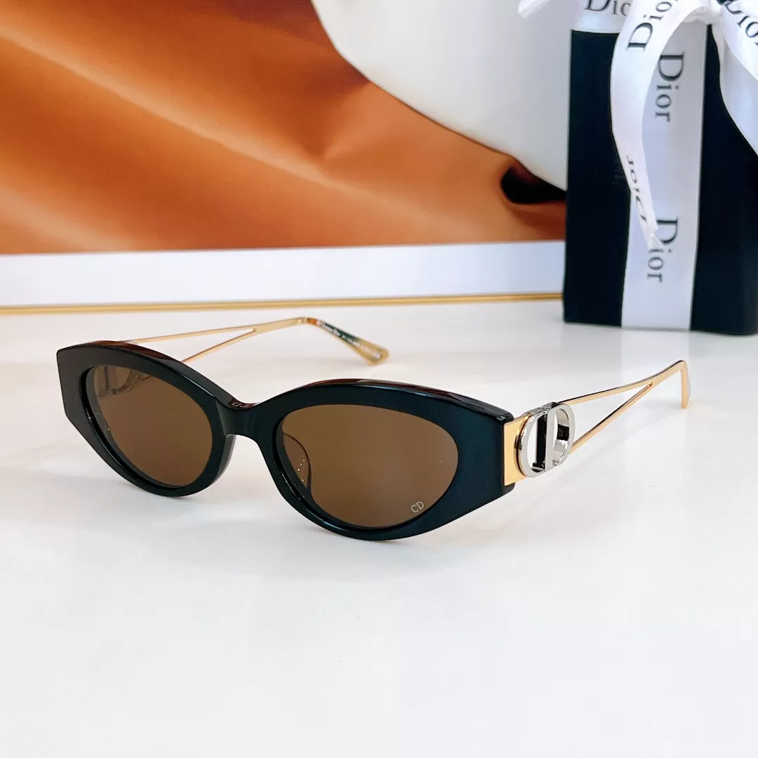 Christian Dior AAA Quality Sunglasses Timeless 2983