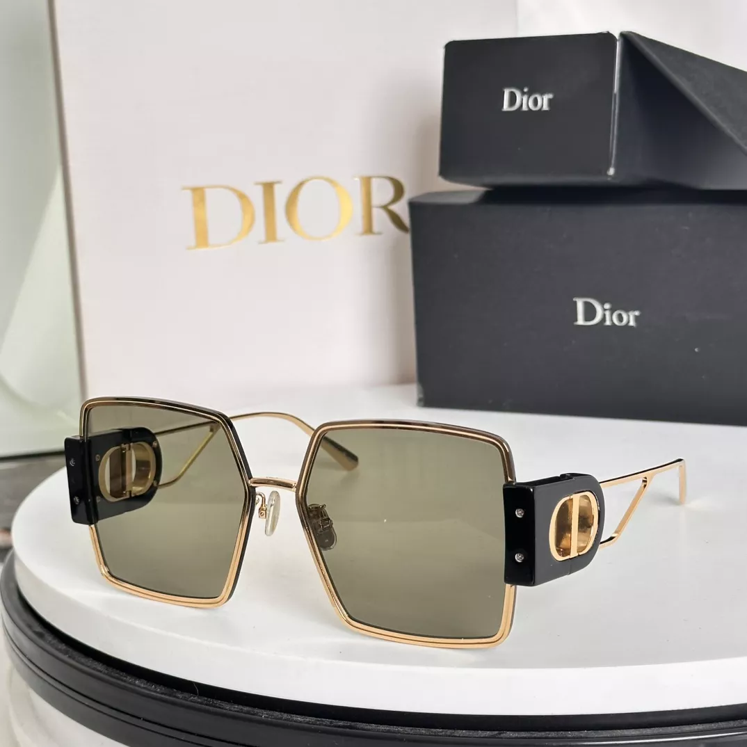 Christian Dior AAA Quality Sunglasses Timeless 9801