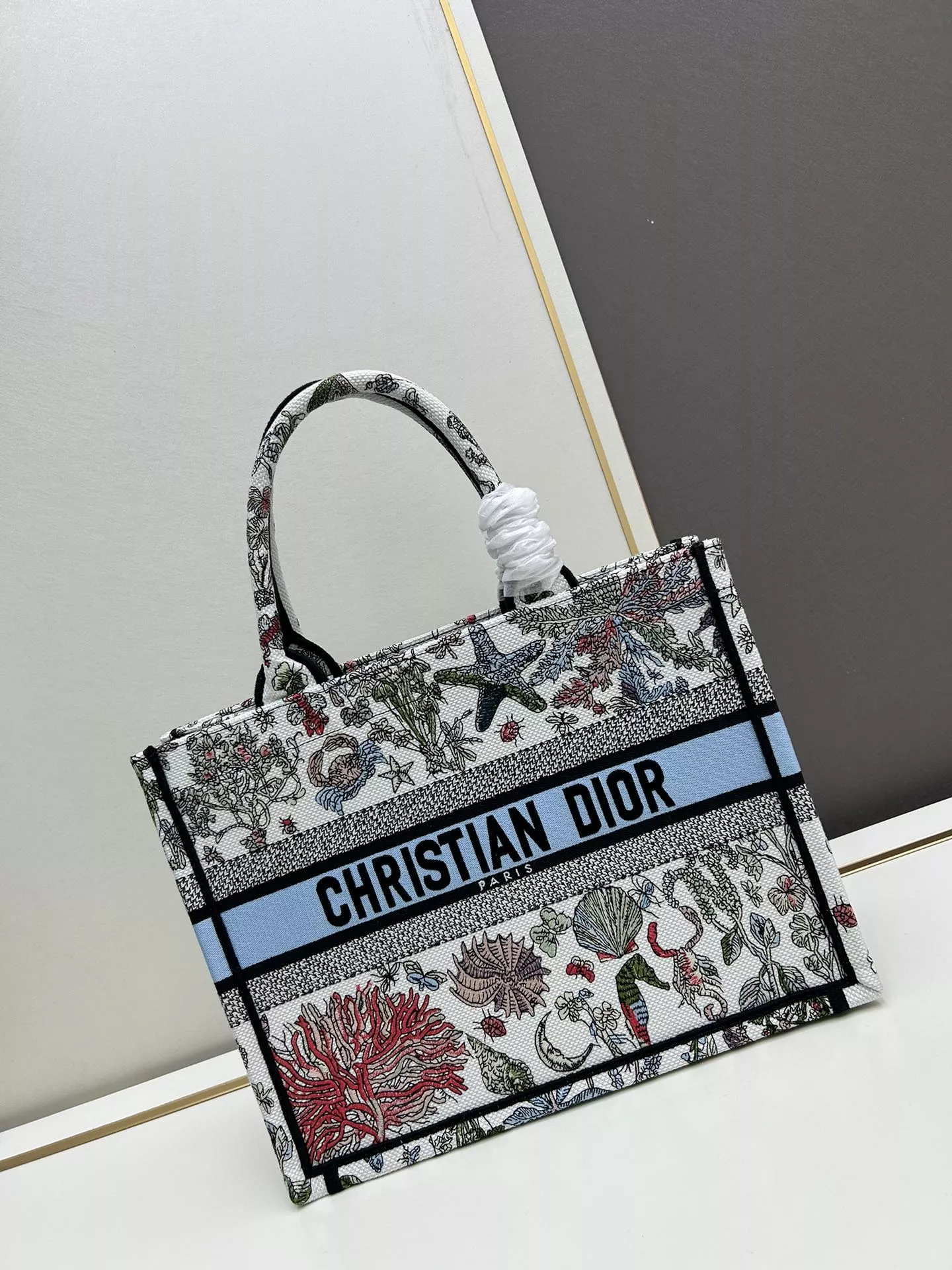Christian Dior AAA Quality Tote-Handbags For Women Lightweight 6096