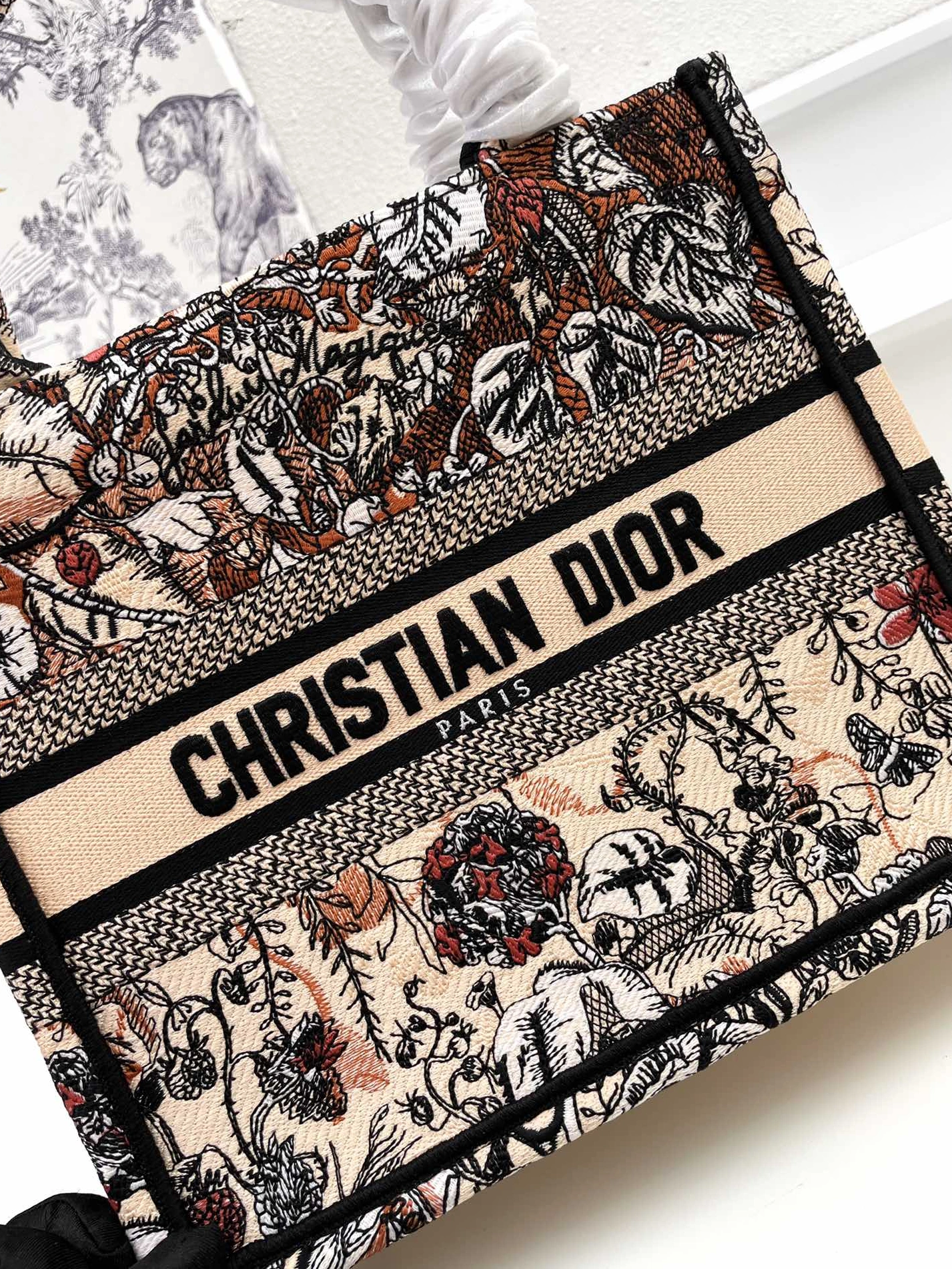 Christian Dior AAA Quality Tote-Handbags For Women TopPick 357