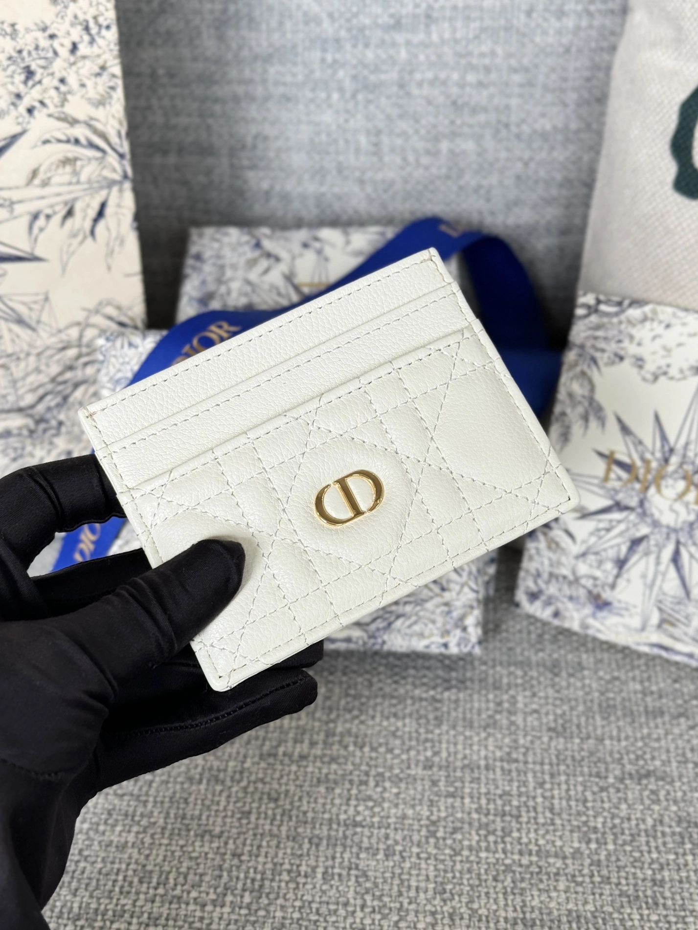 Christian Dior Card Case Timeless 746