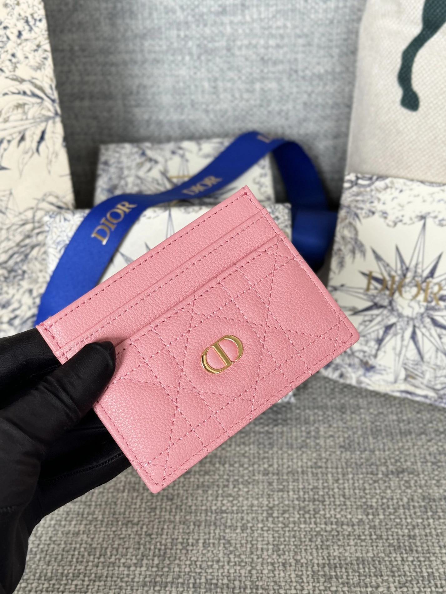 Christian Dior Card Case Trendy 6465