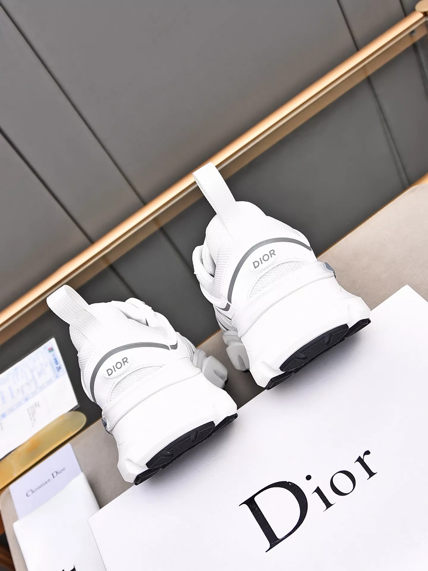 Christian Dior Casual Shoes For Men Compact 6437