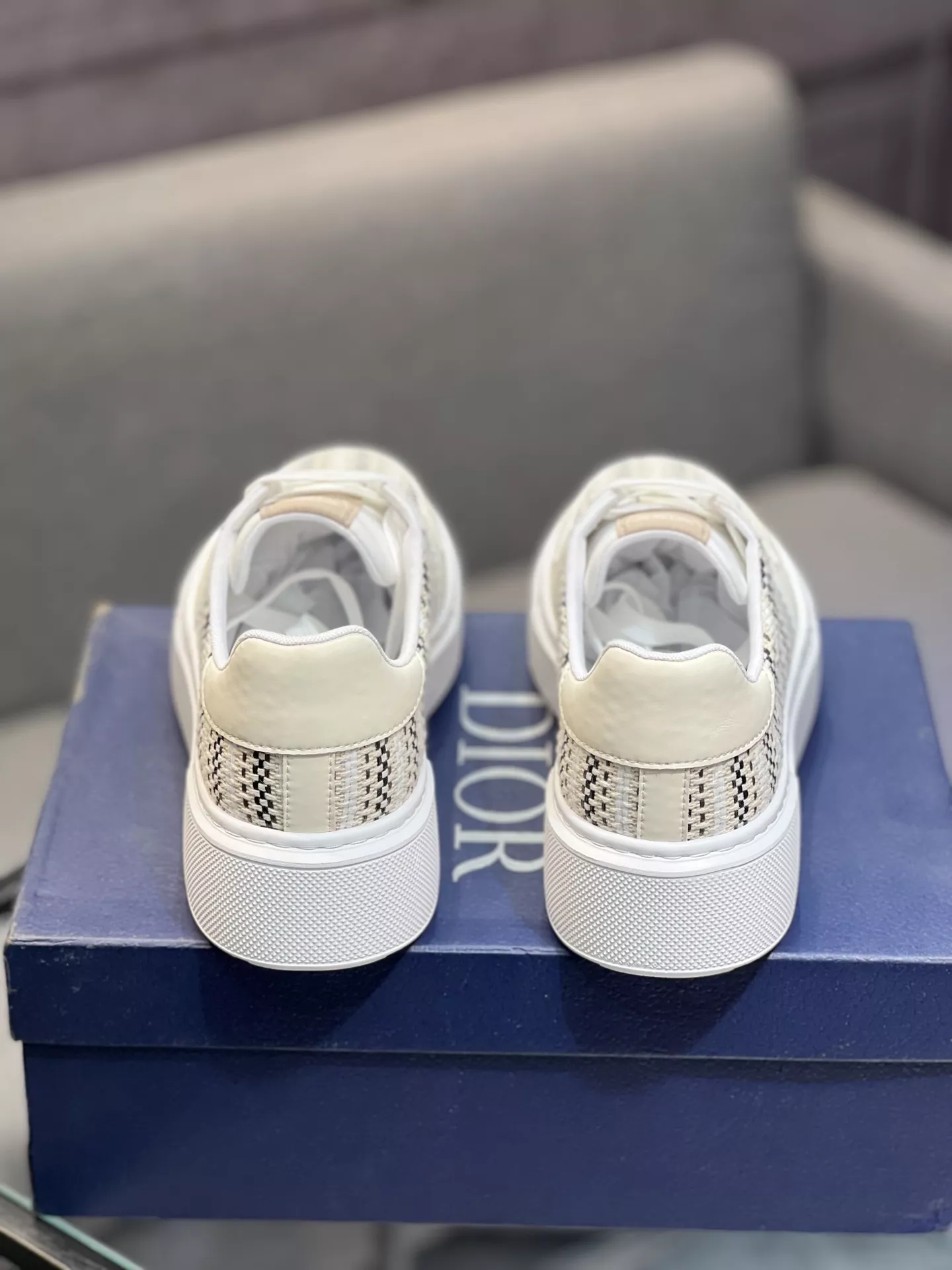 Christian Dior Casual Shoes For Men Fashionable 4733