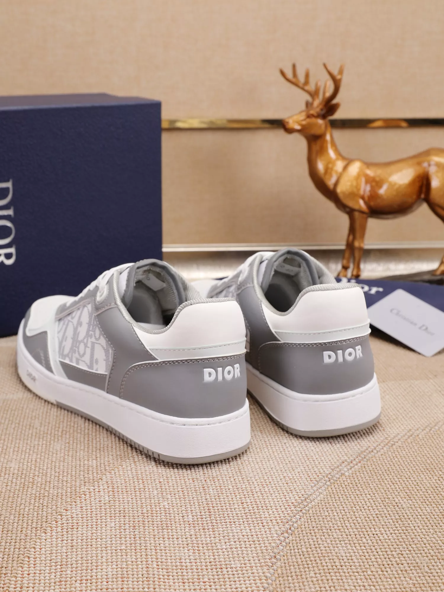 Christian Dior Casual Shoes For Men GoodFit 7488