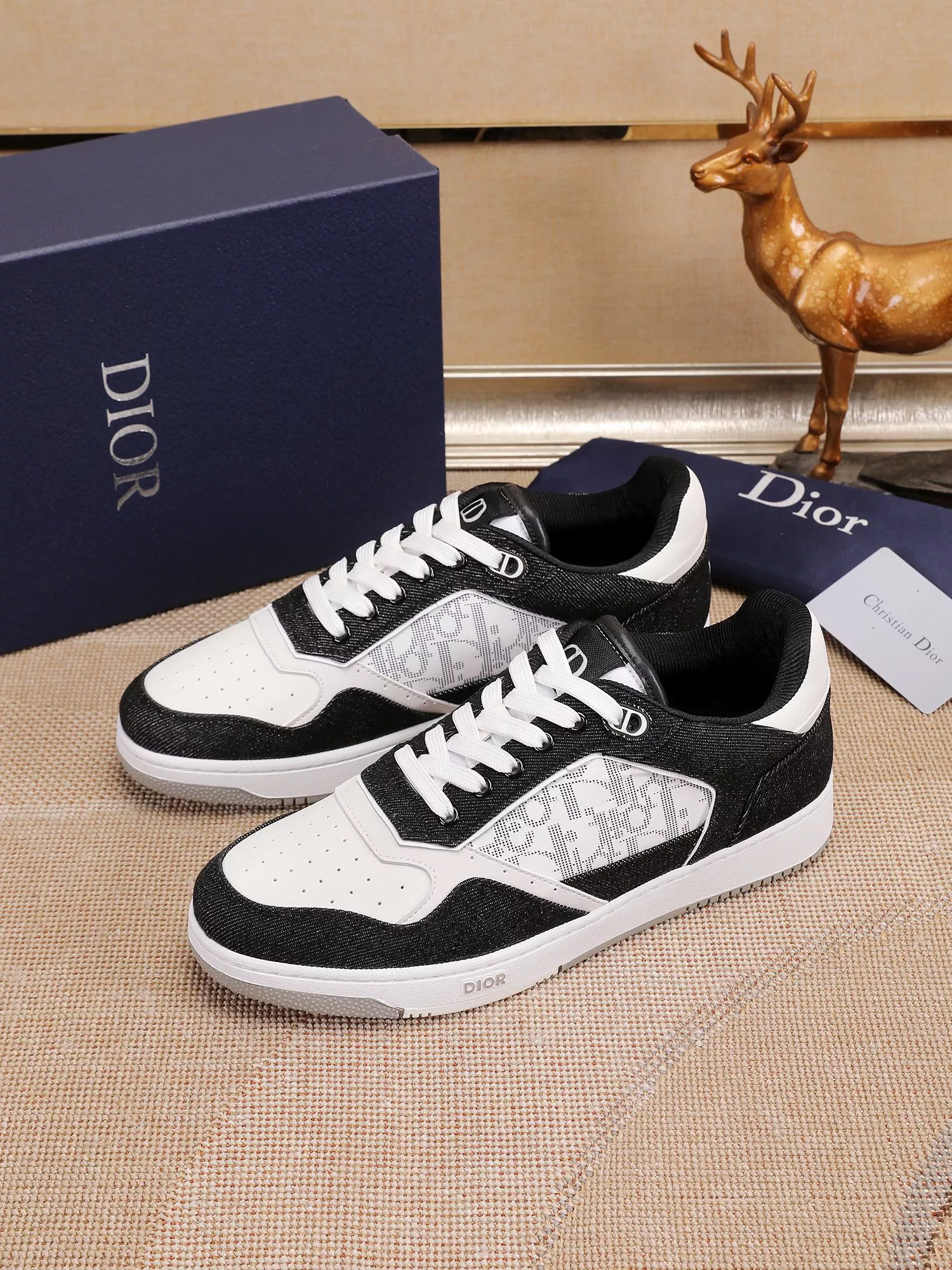 Christian Dior Casual Shoes For Men Resilient 3167