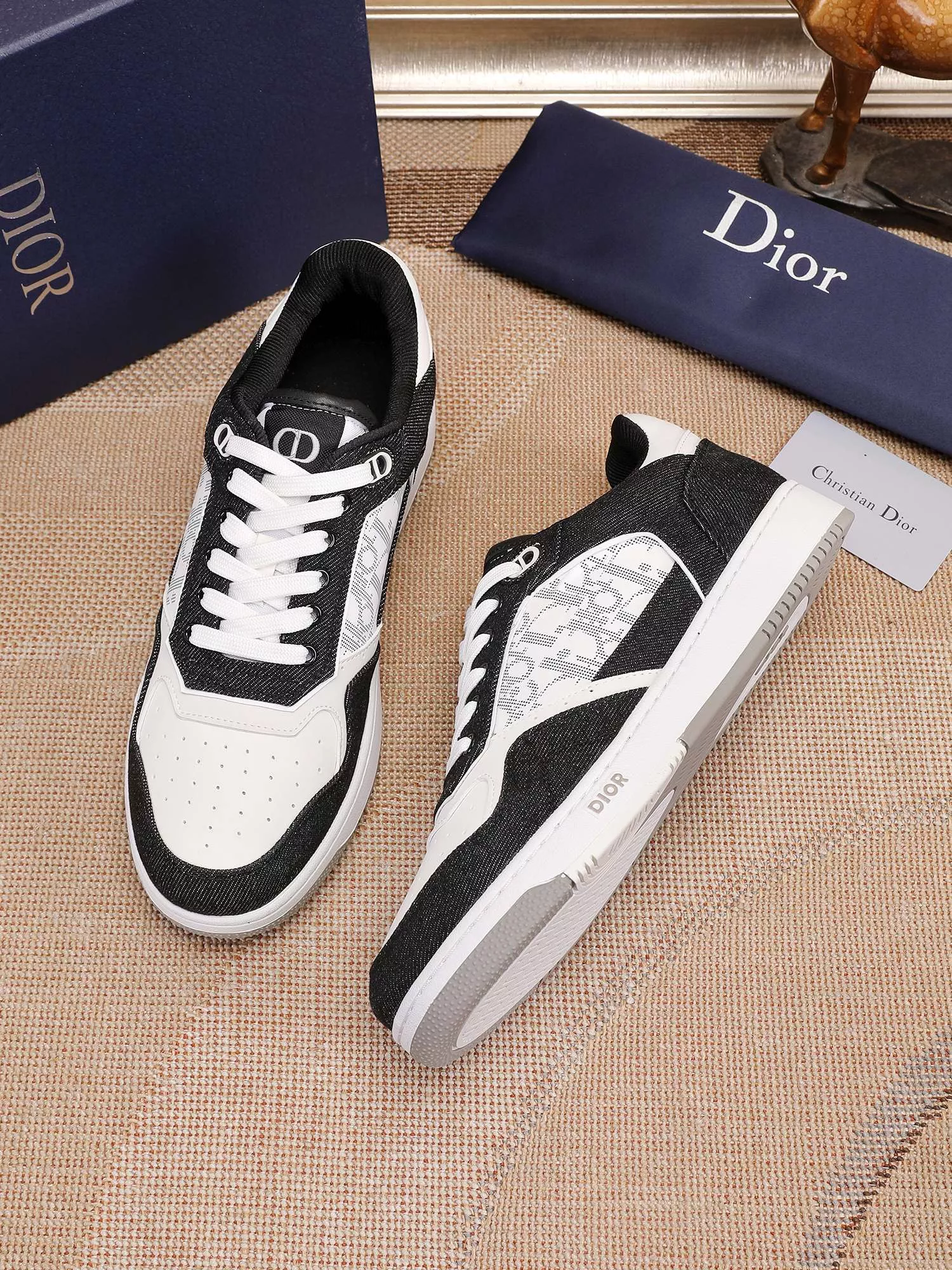 Christian Dior Casual Shoes For Men Resilient 3167